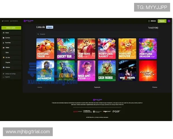 专业分析PG游戏正规网址的重要性，确保玩家在合法平台上享受公平公正的游戏环境